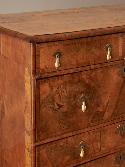 Queen Anne walnut chest of drawers raised on bun feet
