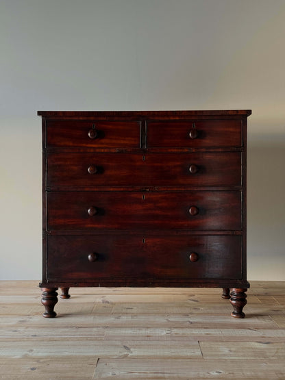 Regency mahogany chest of drawers on bun feet