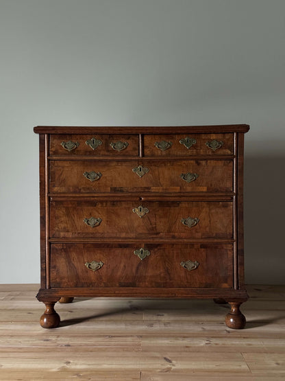 Queen Anne walnut chest of drawers raised on bun feet