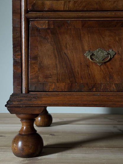 Queen Anne walnut chest of drawers raised on bun feet